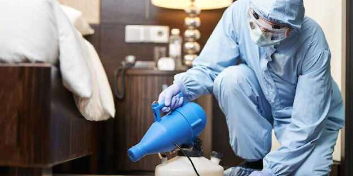 Avoid Costly Mistakes by Hiring the Right Pest Expert in Chicago