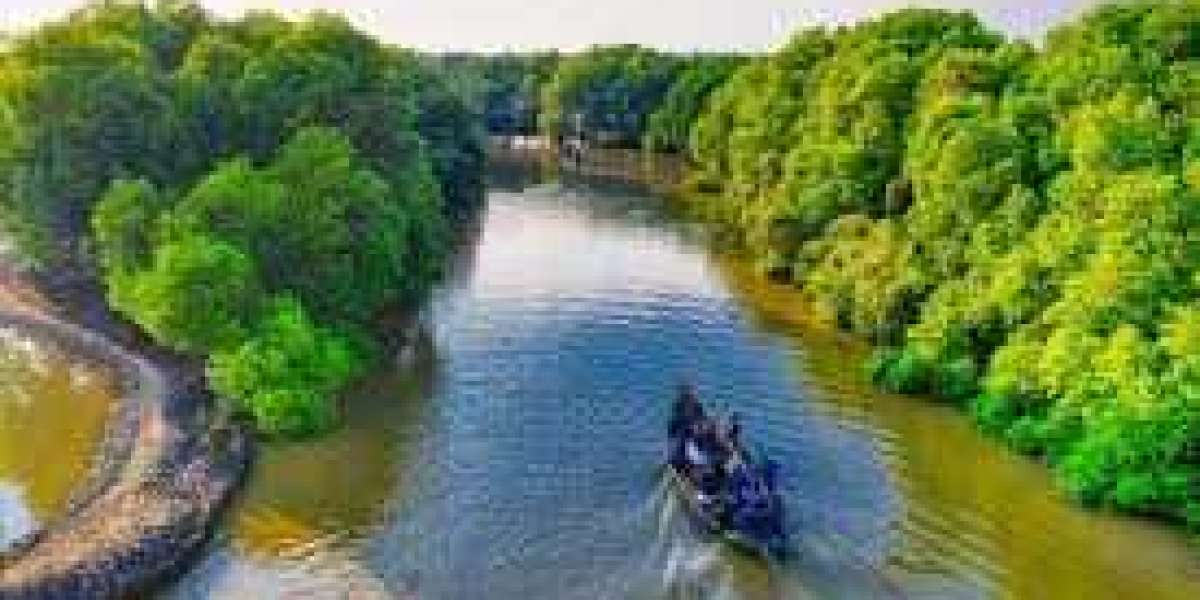 Discover the Magic of the Sundarbans with the Perfect Tour Package