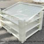 Khay sấy nhựa 60x80cm