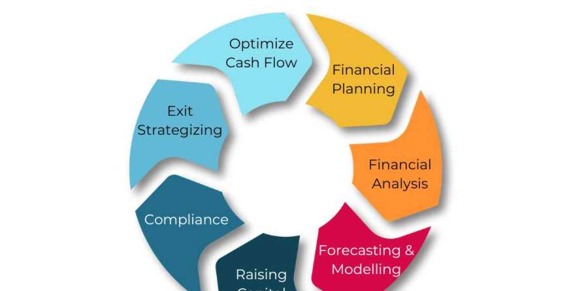 Do Remote CFO Services Actually Save You Money and Help Small Businesses Grow?