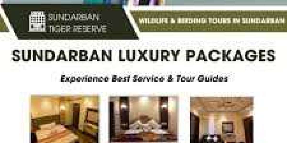 Exploring the Wonders of Sundarban West Bengal Tourism