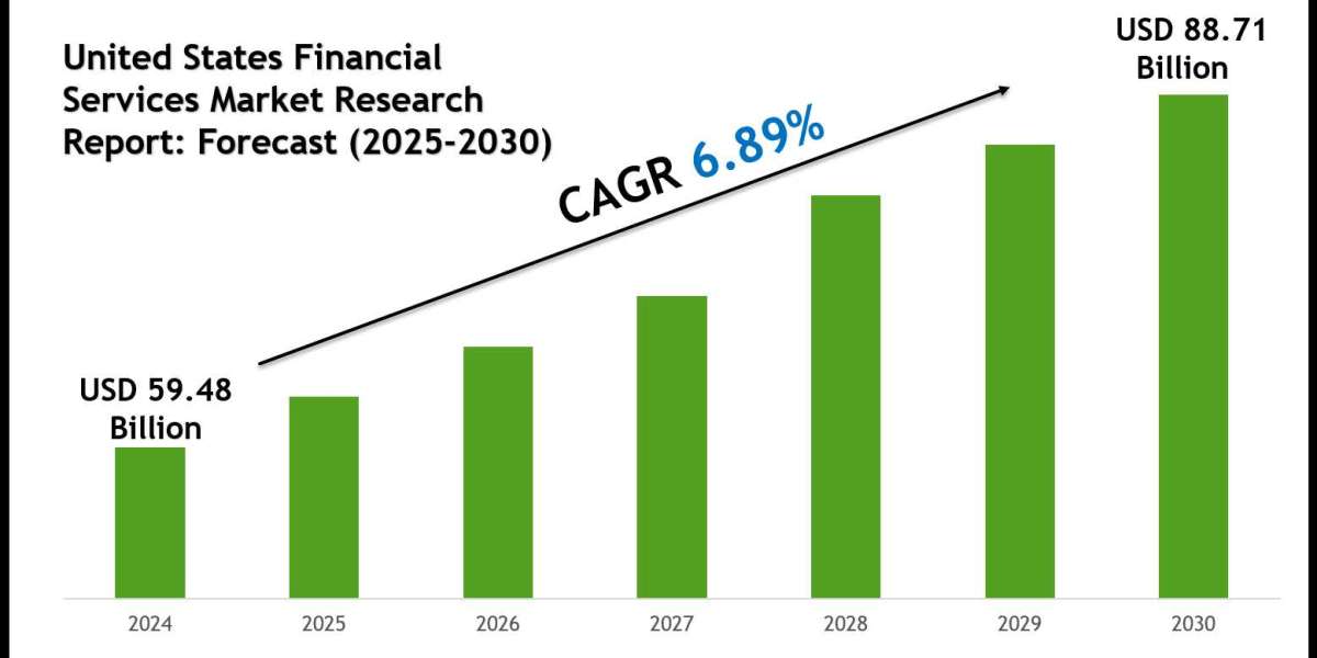 United States Financial Services Market Value, Scope & Growth Outlook 2030