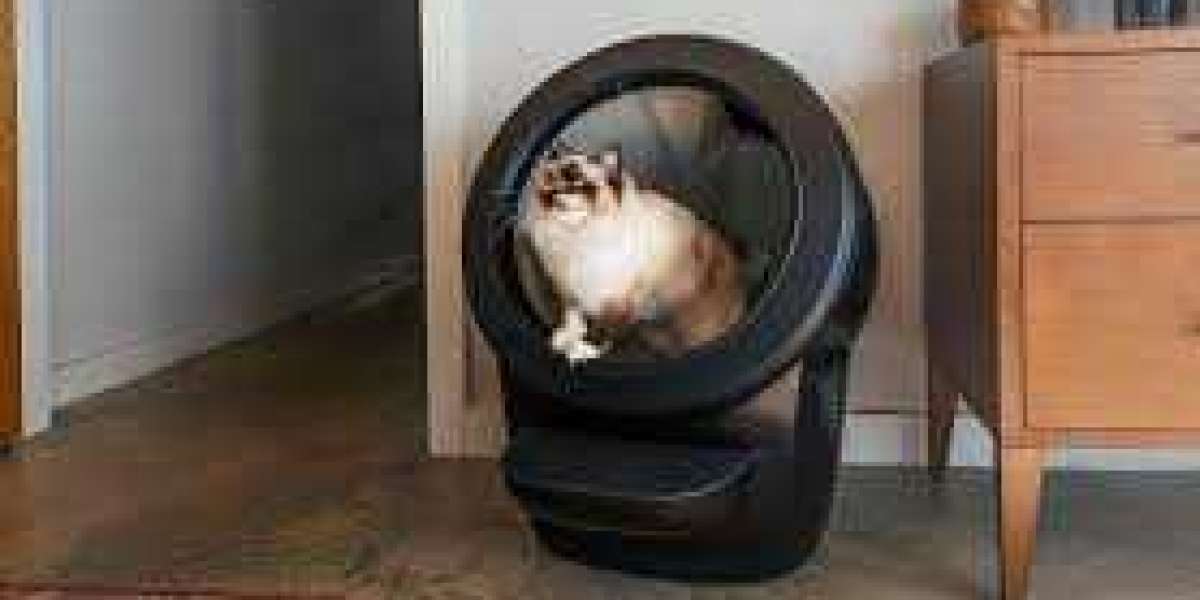 Litter Robot 4: Complete Guide for Cat Owners