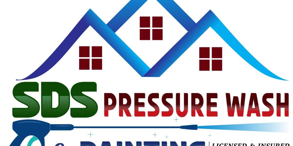 Fast and Reliable Mold Removal Services for a Safer Home