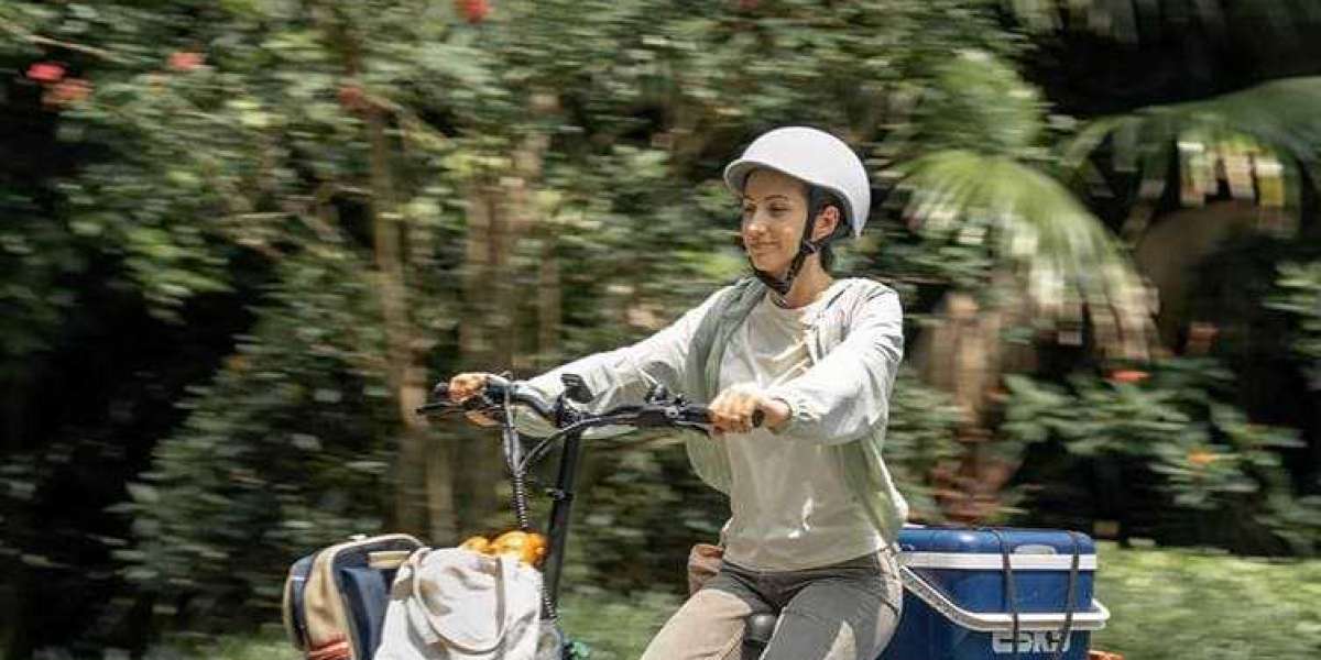 Finding Your Perfect Ride: Navigating the Best Ebike Brands