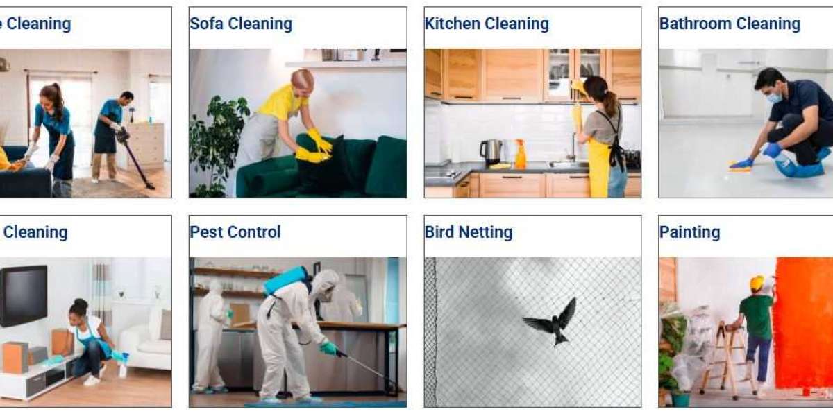 Safaiwale: The Professional Touch Every Space Needs