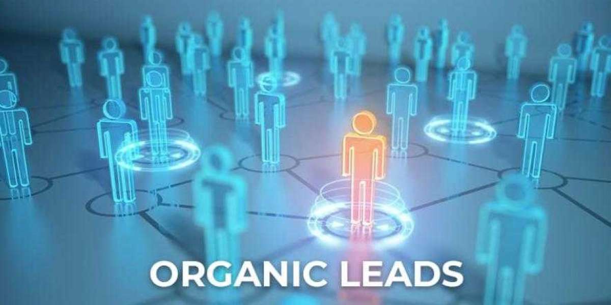 Why Every Business Needs Professional Lead Generation Services