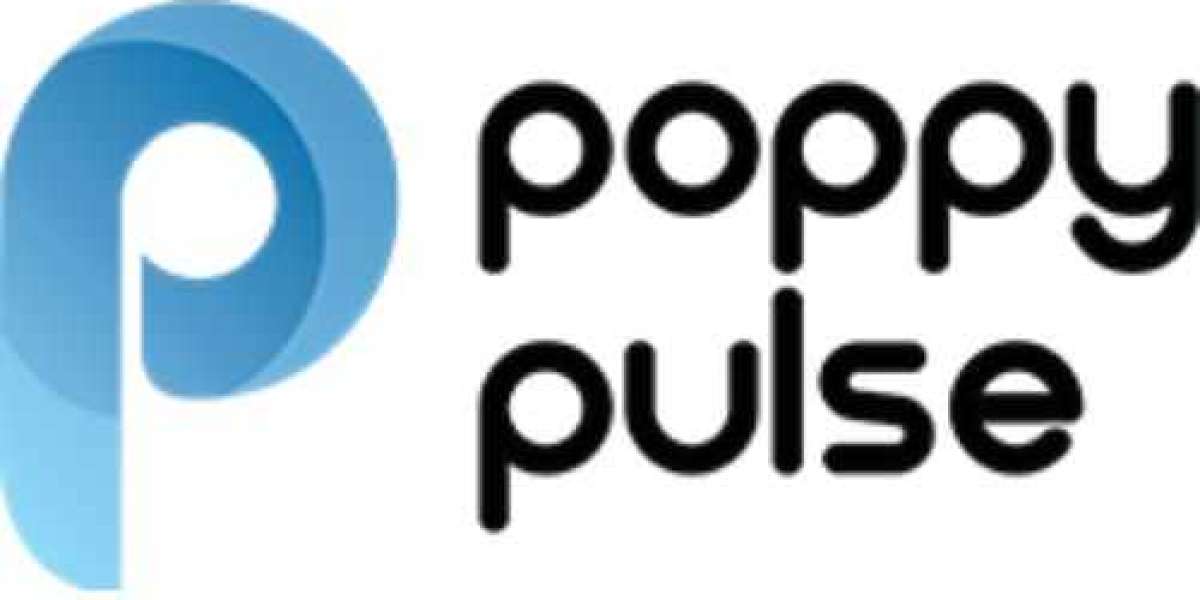 How Poppy Pulse Helps Brands Scale as a Top Performance Marketing Agency Delhi