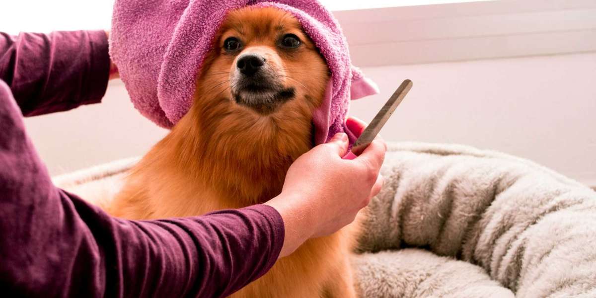 Why Regular Grooming Is Essential for Your Dog’s Health|