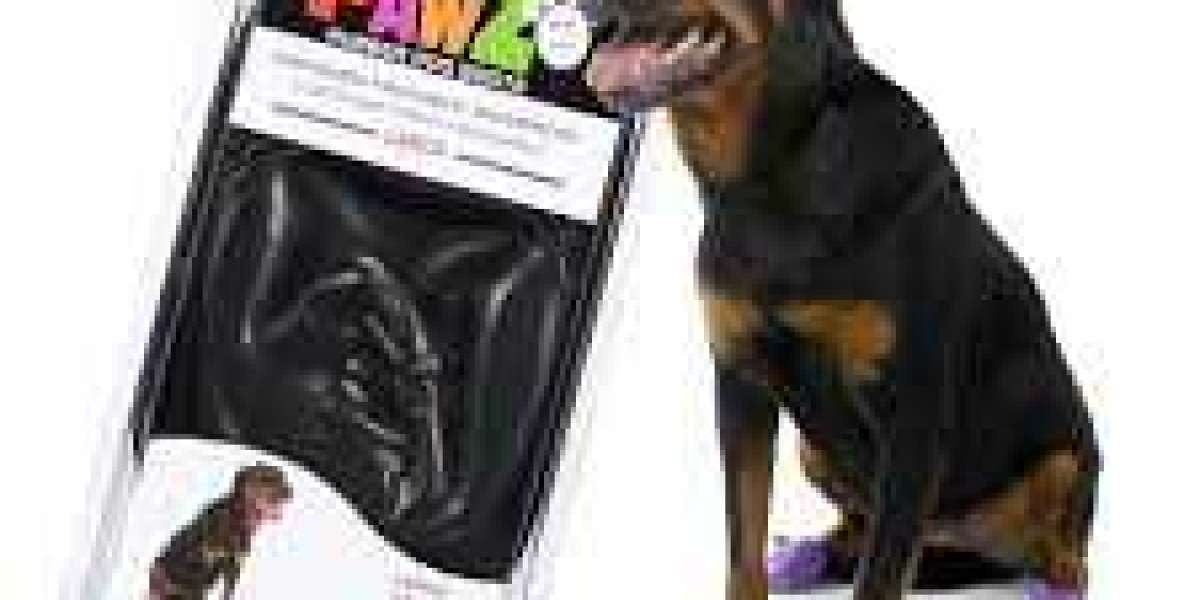 Pawz Waterproof Booties: Protect Your Dog’s Paws Naturally and Comfortably