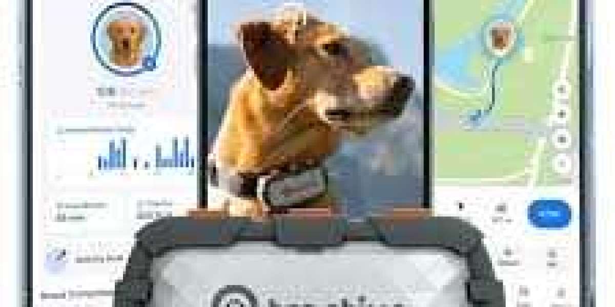 Tractive LTE GPS Tracker: A Complete Guide