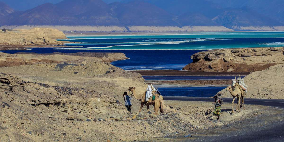 How to Apply for a Djibouti eVisa in 2025
