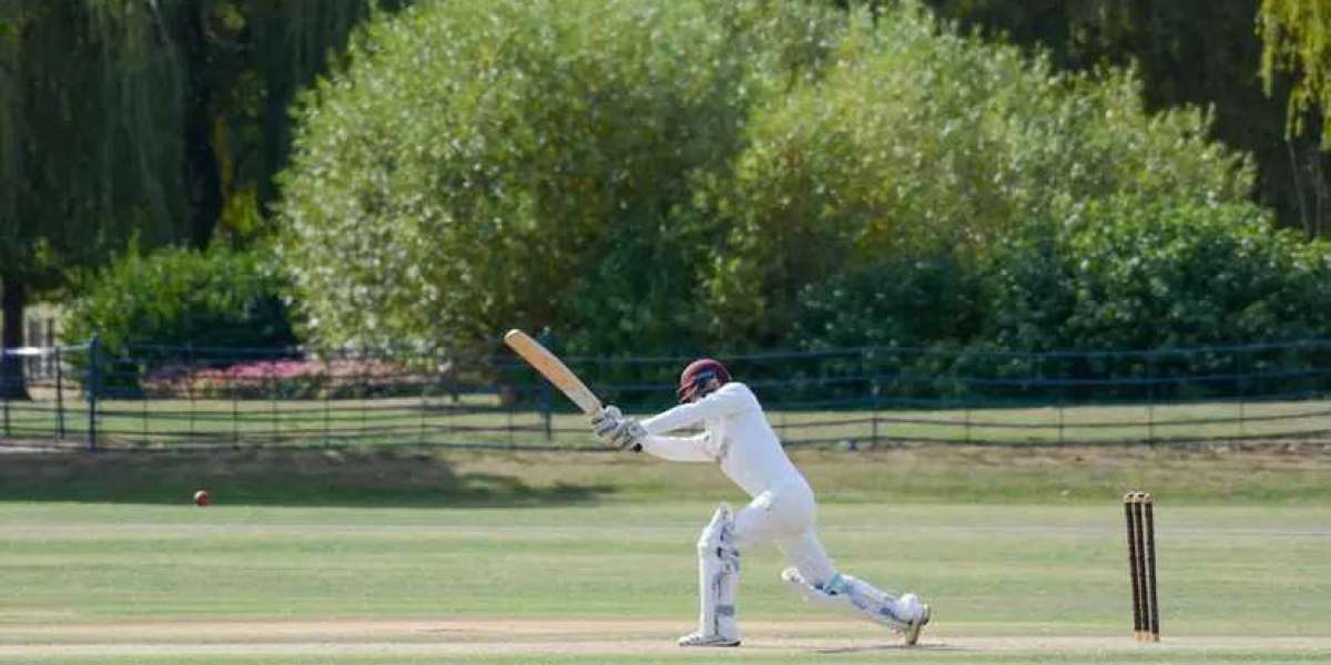 Cricket's Fastest Centuries: When Time Stood Still