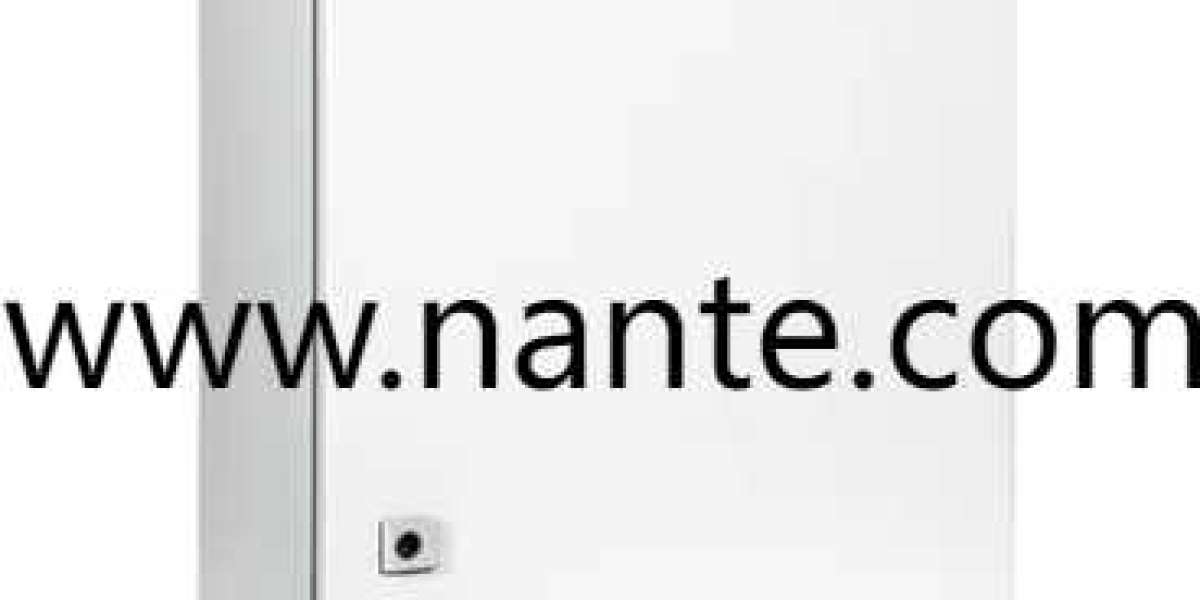 Enhance Aesthetics and Function with Nante Faceplate Options