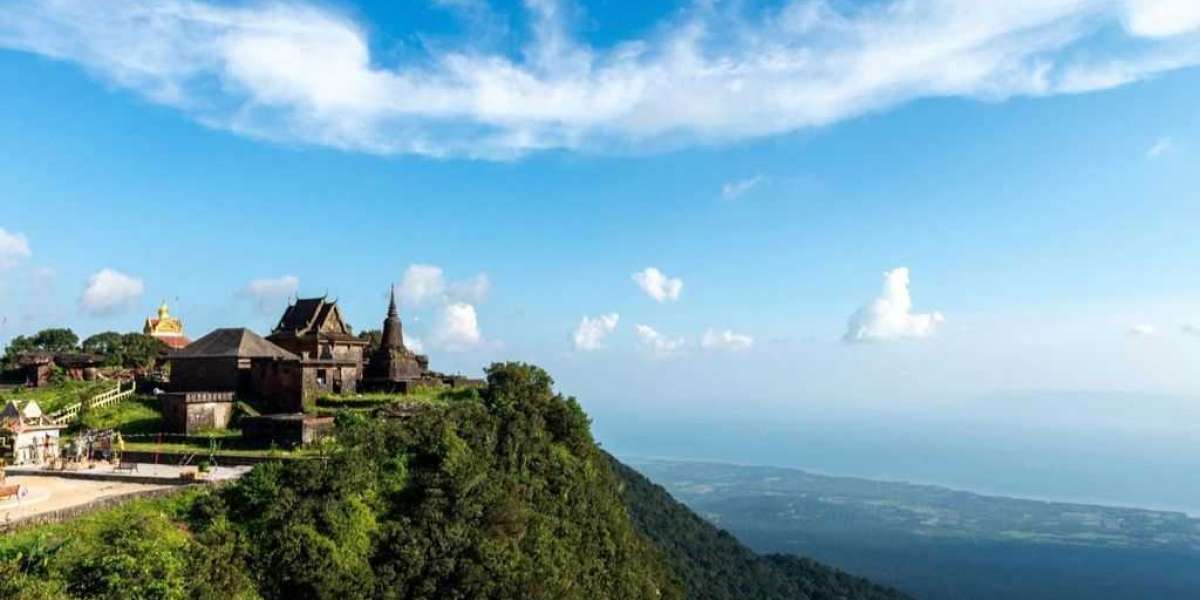 Colorful Journeys: Why the Flower Season is the Best Time for a Cambodia Vacation