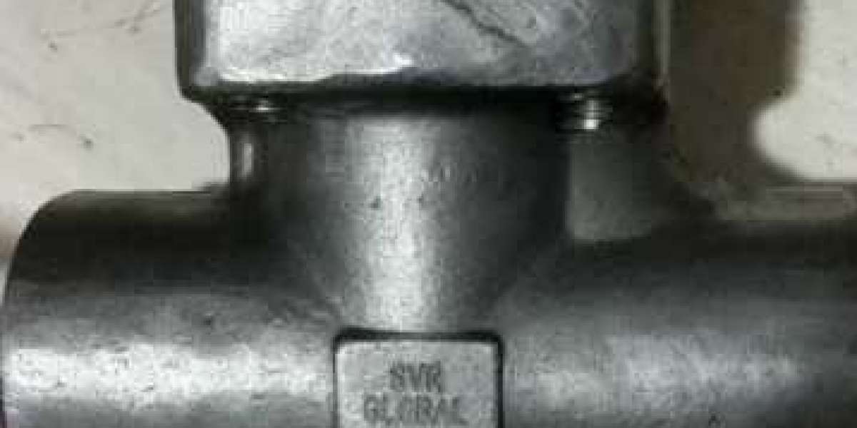 Forged steel check valve supplier in Dubai