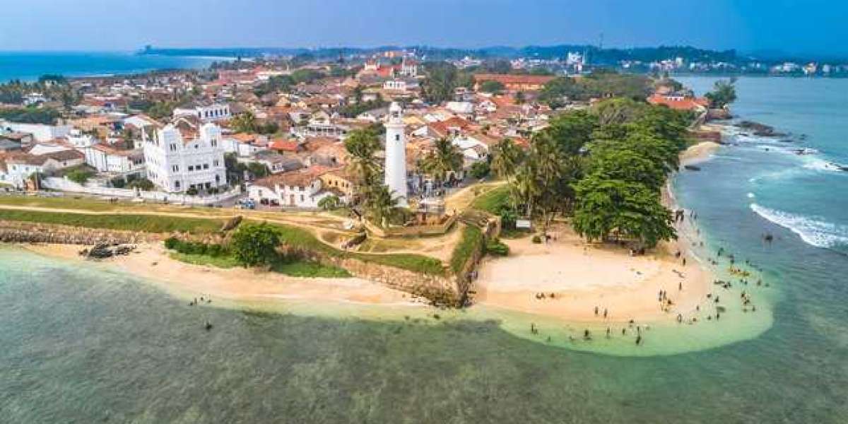 Flower Trails of Sri Lanka: A Colorful Journey Through Nature