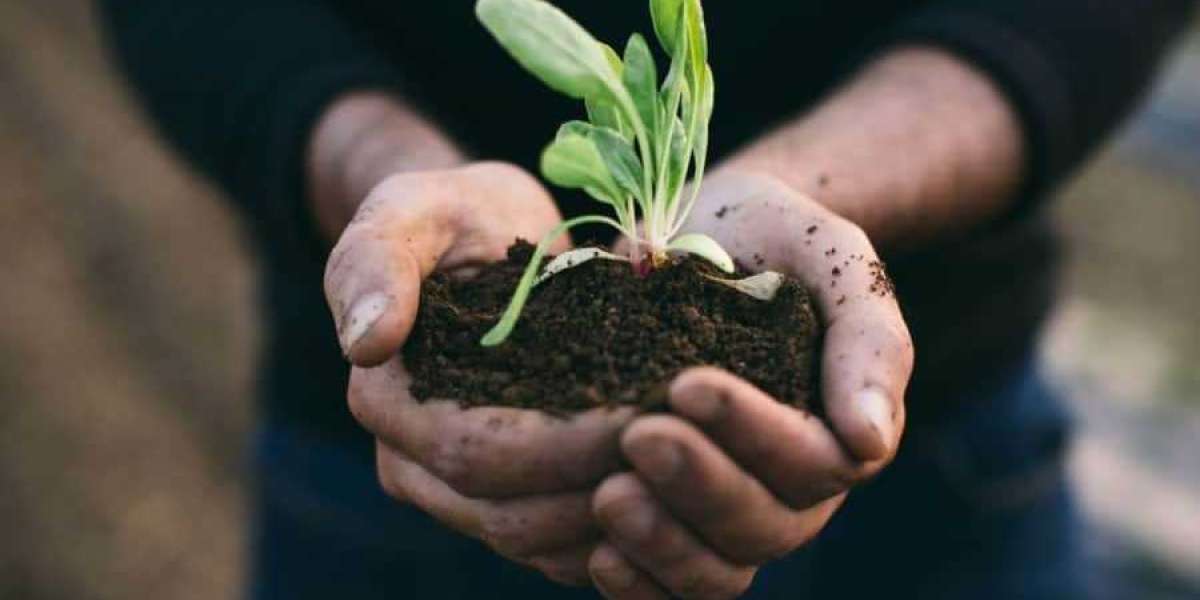 10 Ways to Live a More Sustainable Lifestyle in 2025
