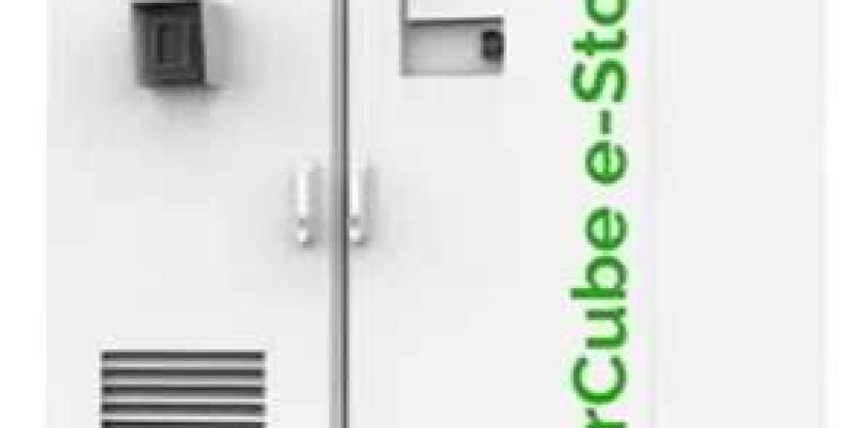 Energy Storage Systems in Smart Grids: Building the Future of Power