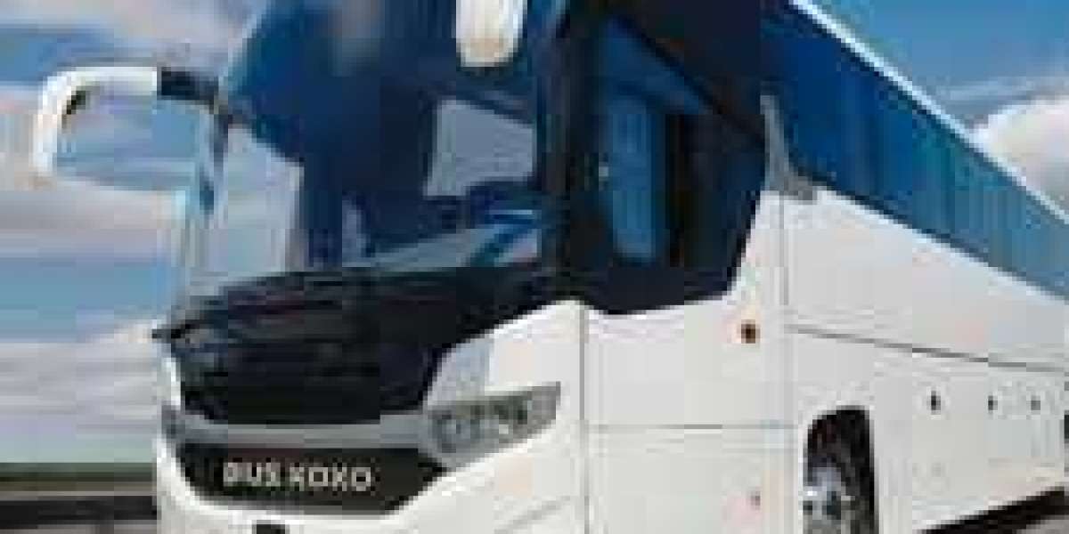 Charter Bus vs School Bus in Mississippi: Which One Fits Your Group’s Needs?