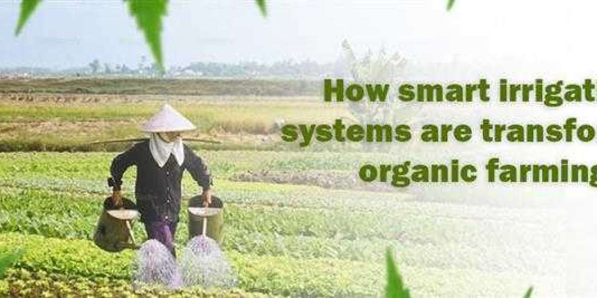 How smart irrigation systems are transforming organic farming