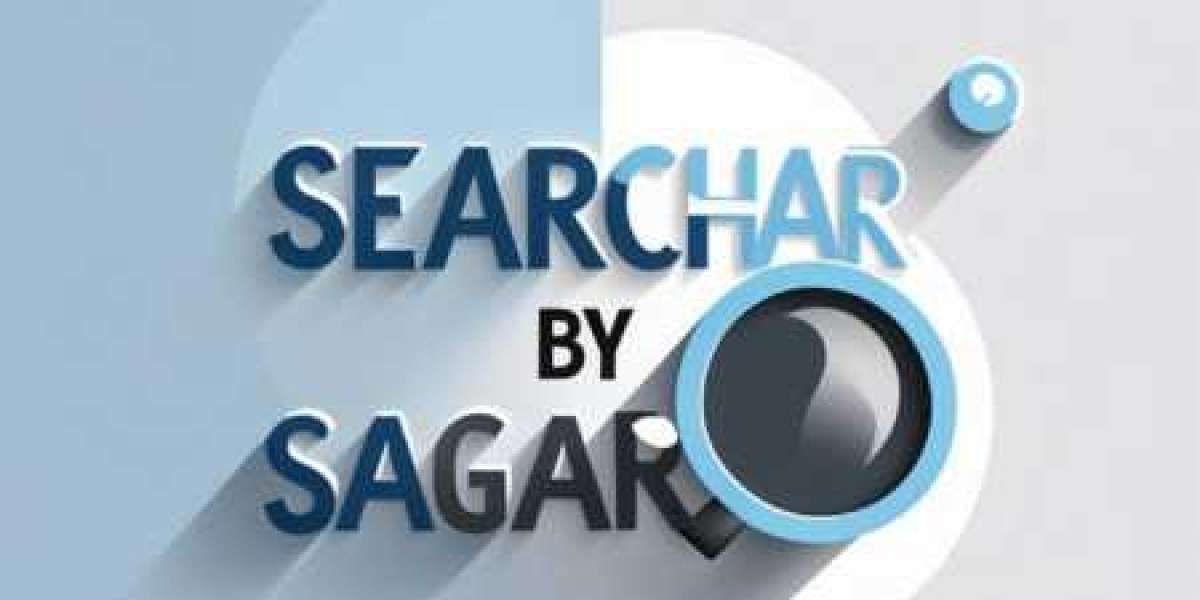 SEO Services in Ludhiana: Growing Your Business in the Digital Age