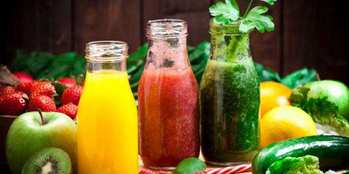 Mastering the Basics: A Beginner’s Guide to Food Product Development and Formulation
