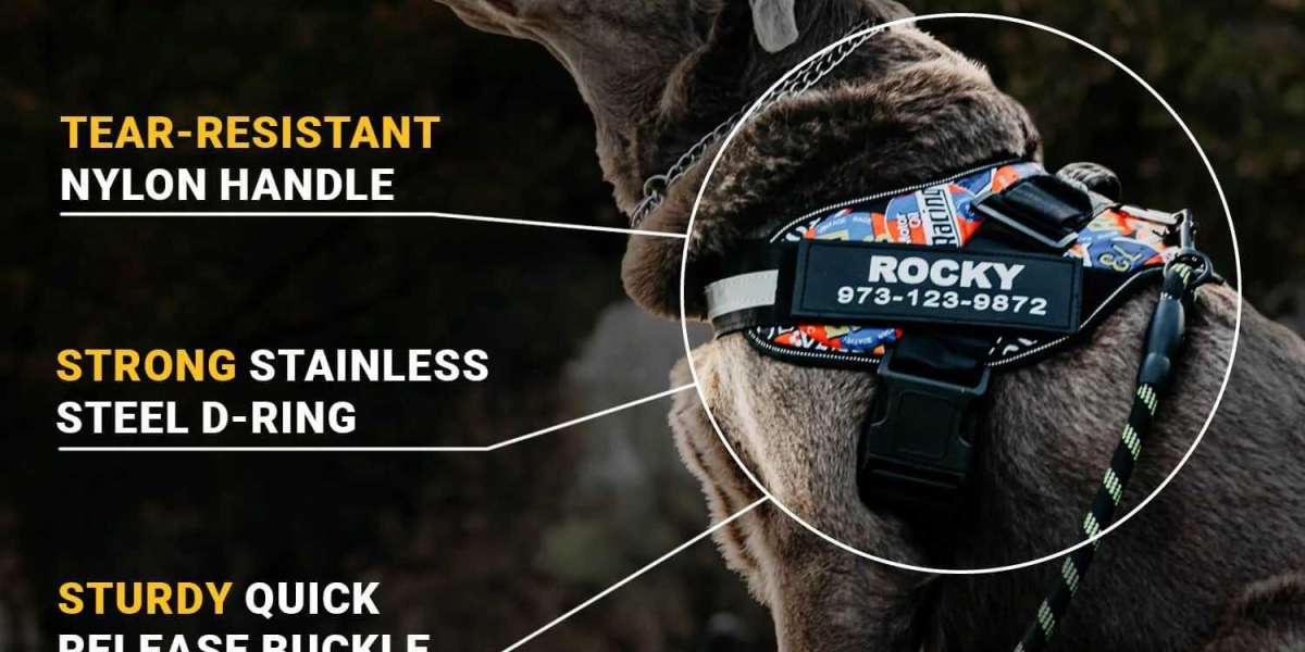 The Ultimate Guide to Dog Harnesses, Collars & Leashes: Comfort, Safety, and Style for Your Canine Companion