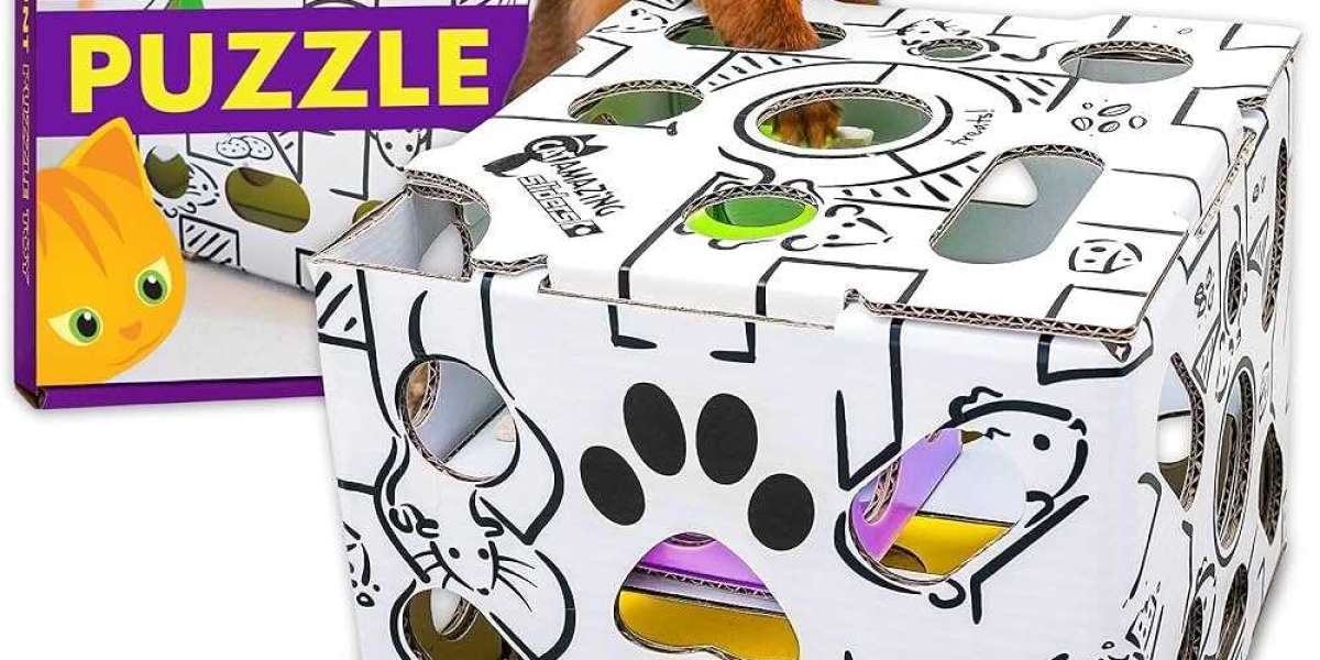 Cat Amazing Puzzle Feeder: A Smart Choice for Cats