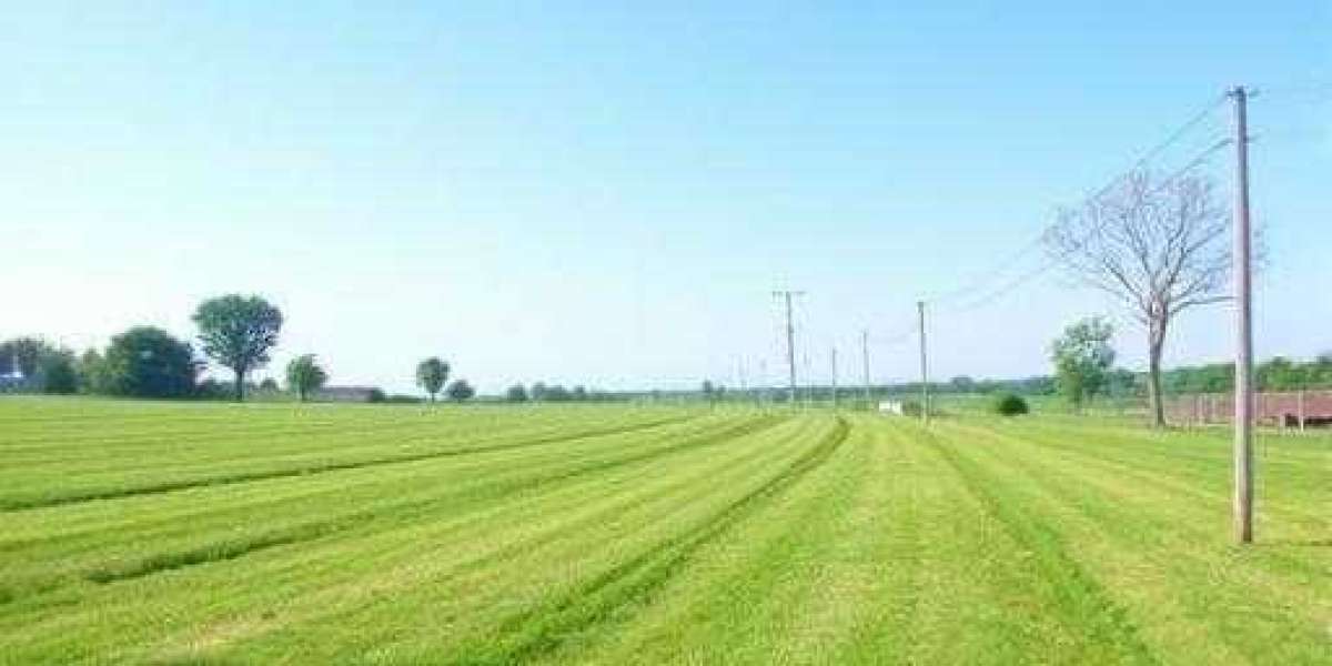 Professional Trench Services and Understanding Grading Land Cost with Deep Roots Excavation LLC