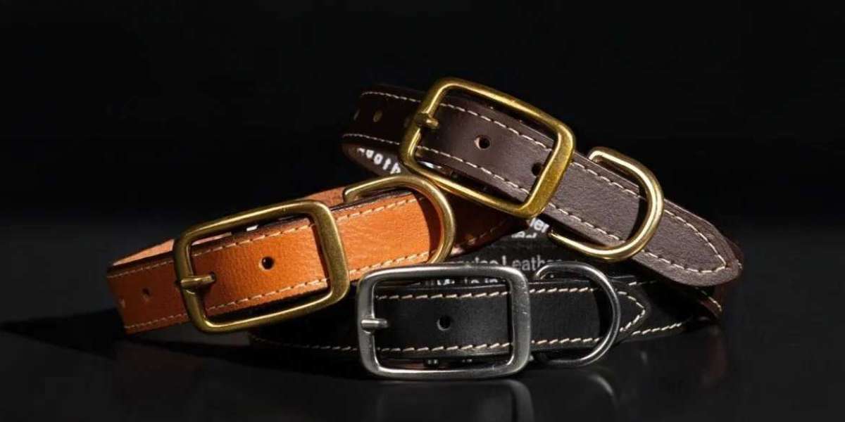 Why Choose Dog Collars Leather for Your Pet’s Comfort and Style?