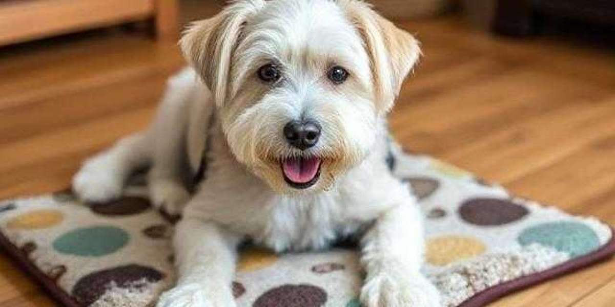 Snuffle Mats: The Best Enrichment Toy for Dogs