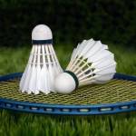 yilianminton25