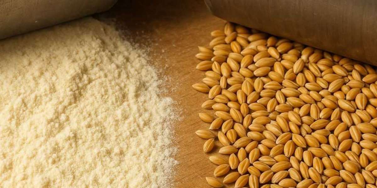 Leading the Market: Top 10 Starch Manufacturers in India
