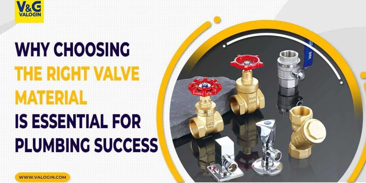 Trusted Valve Solutions: Exploring the Industry Leaders in Plumbing and Gas Control
