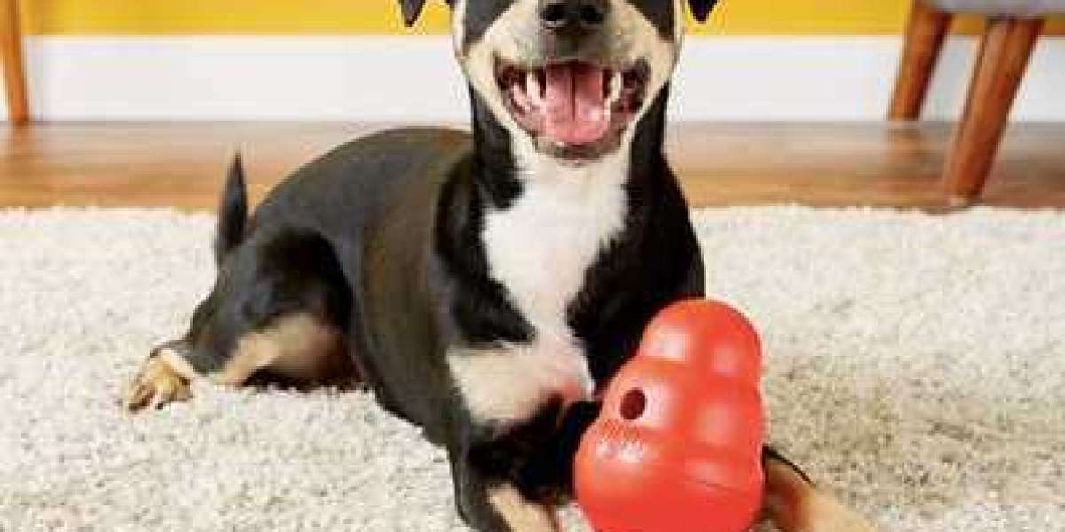 KONG Wobbler: The Best Treat Toy for Happy Pets