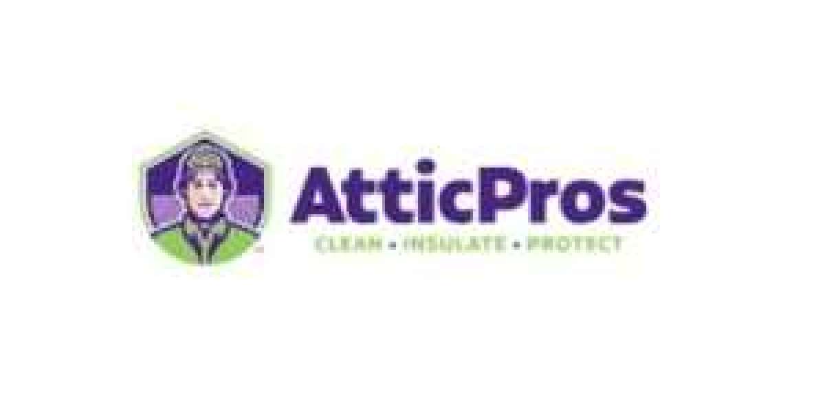 Why Crawl Space Cleaning Is Essential for Every Bay Area Home