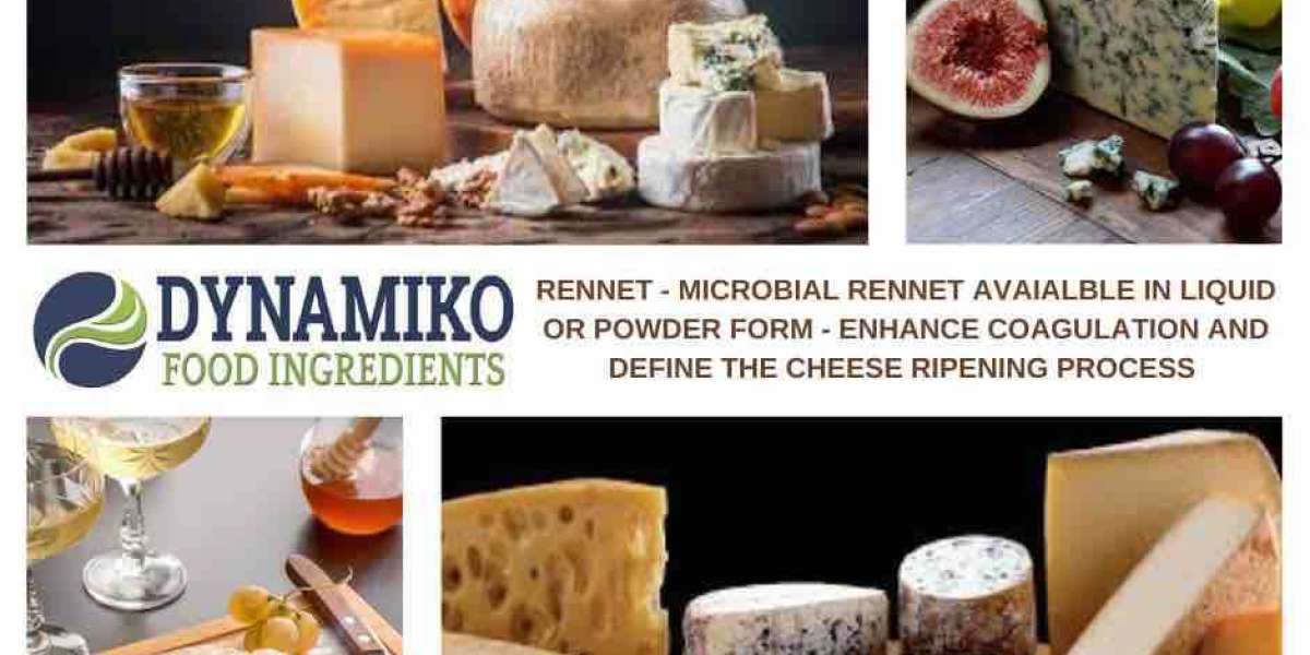Discover the Best Source for Liquid and Powder Rennet – Dynamiko’s Complete Range of Cheese-Making Essentials