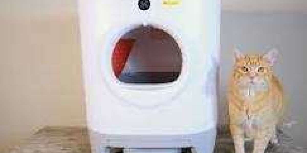 PetKit Pura X Self Cleaning Litter Box – Everything You Should Know