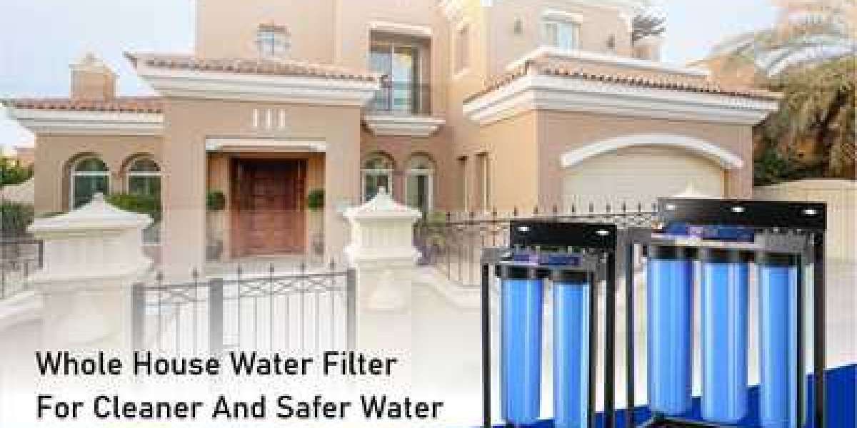 The Secret to a Spotless Home: The Whole House Water Filter in UAE