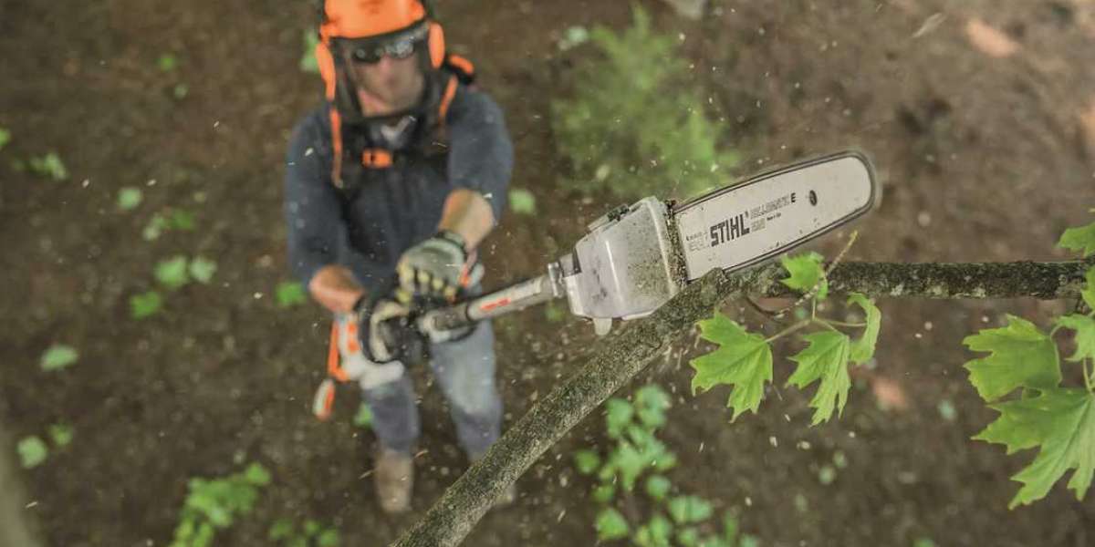 Tree Trimming Services Auckland