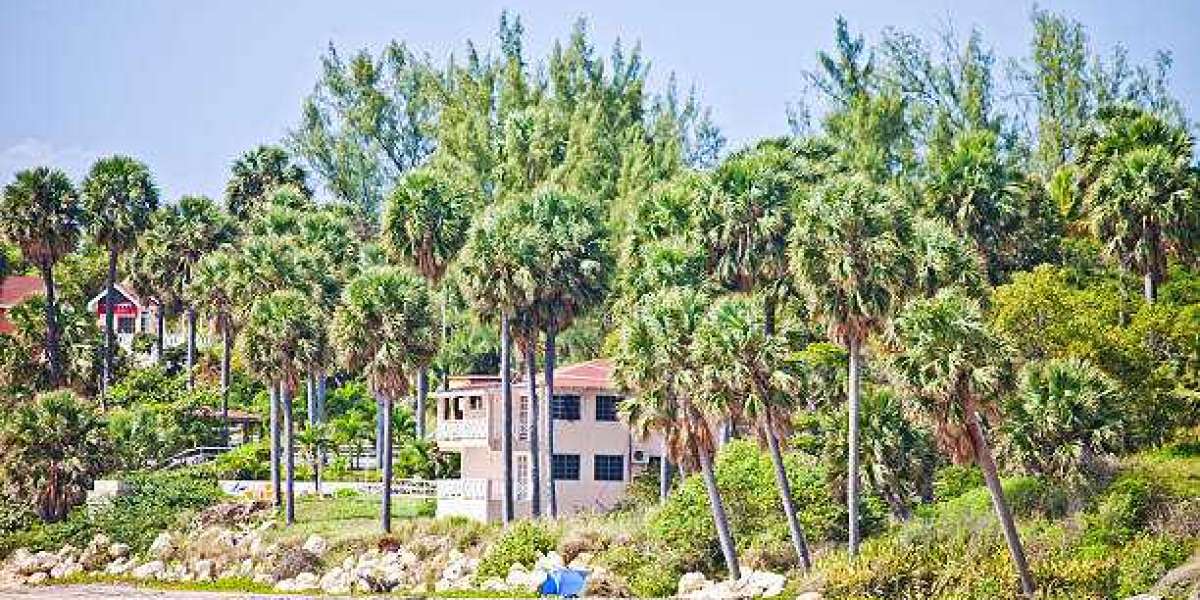 Discover the Hidden Gems: Top Things to Do in Treasure Beach Jamaica