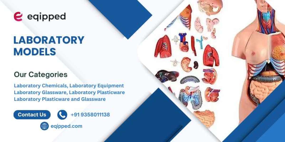 Laboratory Models: A Powerful Tool for Effective Science Learning