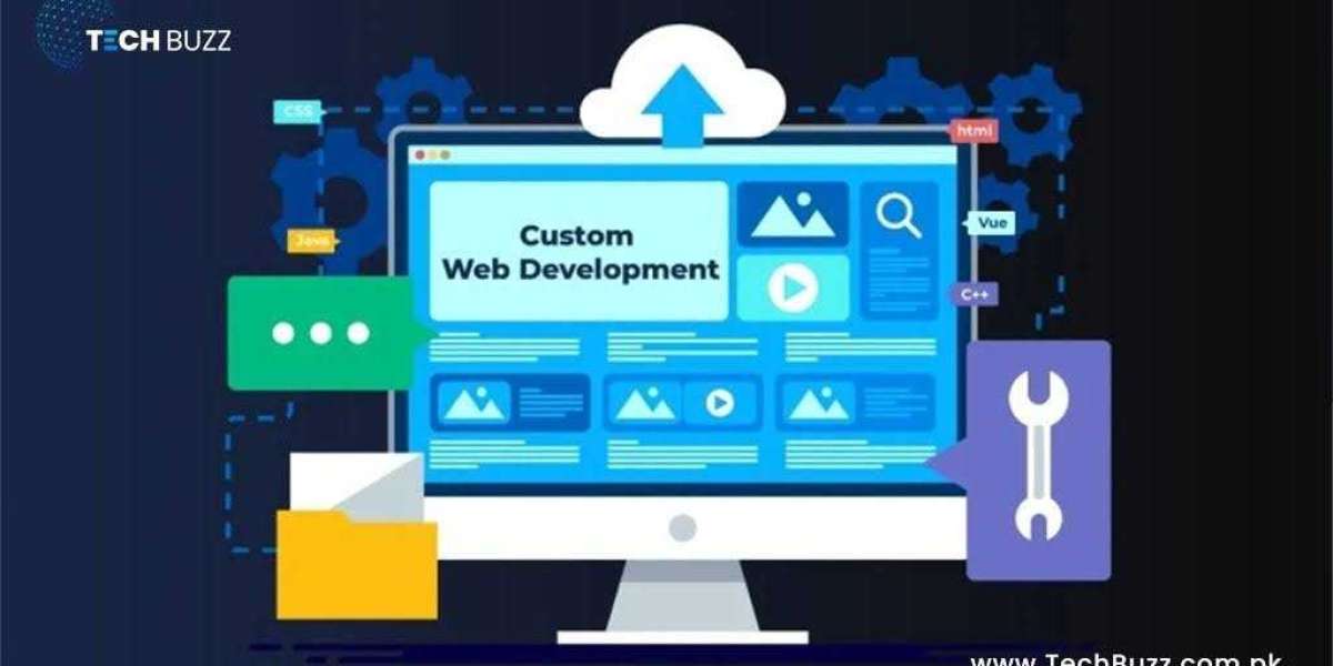 LiveBits: Your Trusted Web Development Agency and Company in Pakistan