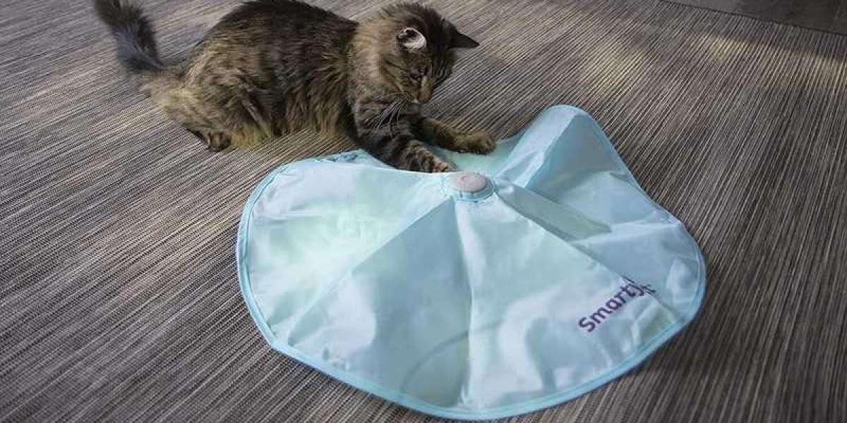 SmartyKat Hot Pursuit: Cats Crave More Than Just Naps