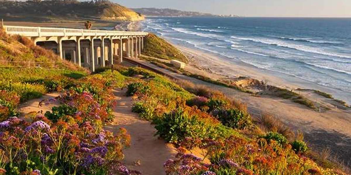 Finding the Right Mental Health Support in Carlsbad