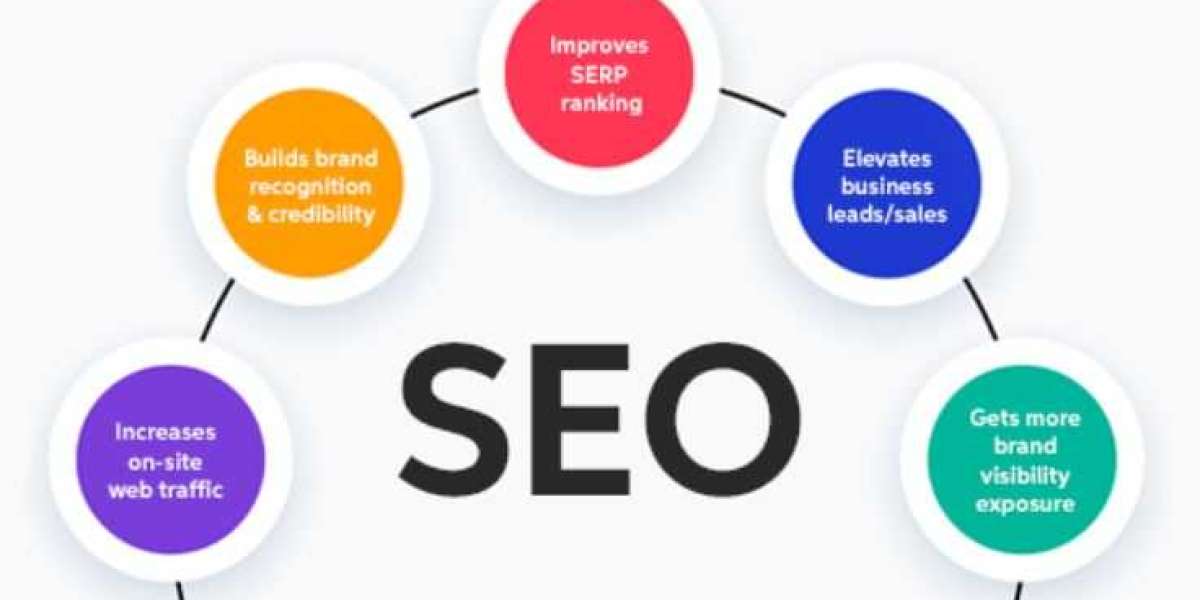 Why Your Business Needs an Experienced SEO Consultant in Gurgaon
