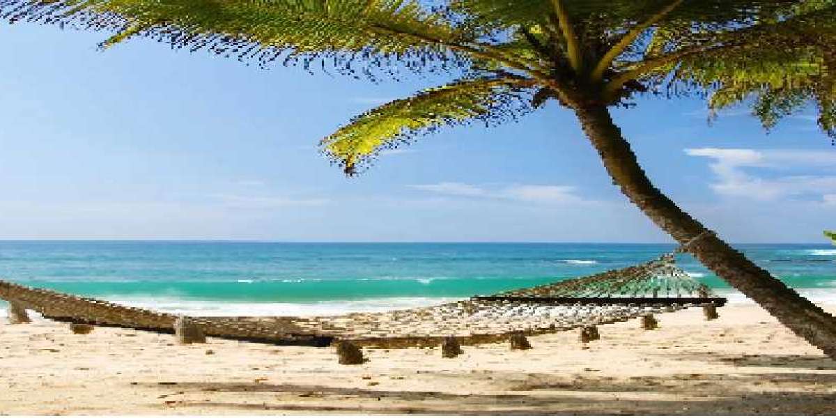 Discovering the Untamed Beauty of Africa through Remarkable Safari Journeys