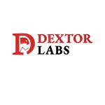 Dextor Labs