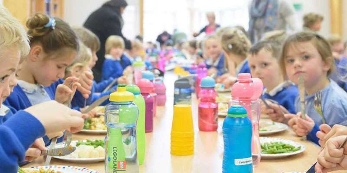Nurturing Young Minds at Early Childhood Centre Beachlands